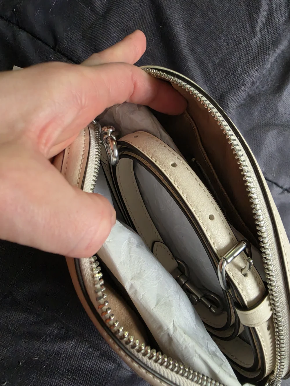 COACH Cream Multi Snail Print Dome Crossbody Bag